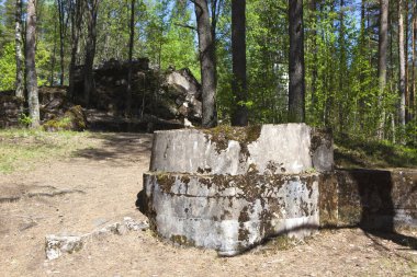 Arka planda ağaç olan eski bir ahşap taş.