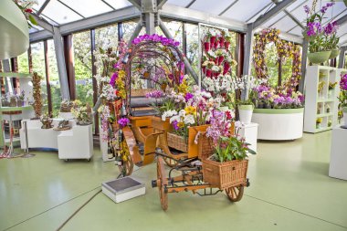LISSE, NETHERLANDS - 4 Mayıs 2018: çiçek sergisi fotoğrafı. Beatrix Pavyonu. Keukenhof Kraliyet Parkı