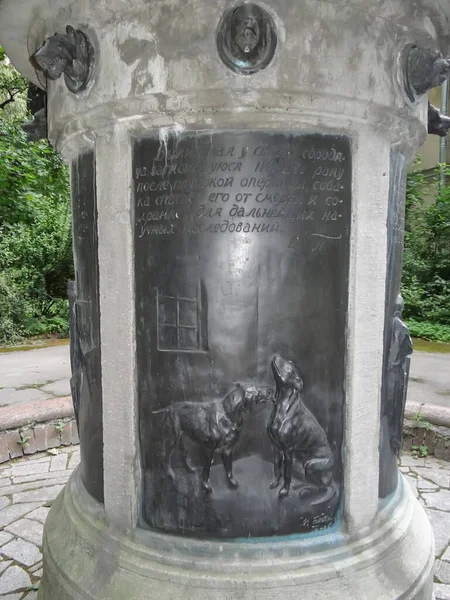 Fragment Monument Pavlov Dog Territory Institute Human Brain Petersburg Russia — Stock Photo, Image