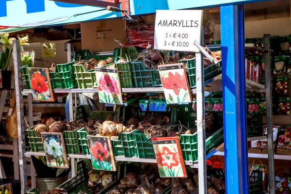 Delft Niederlande Mai 2018 Foto Vom Blumenmarkt — Stockfoto