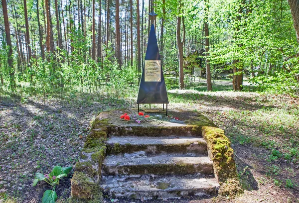 Monument Soldatene Som Døde Kampene Gjennombruddet Linjen Finsk Forsvarslinje Park – stockfoto