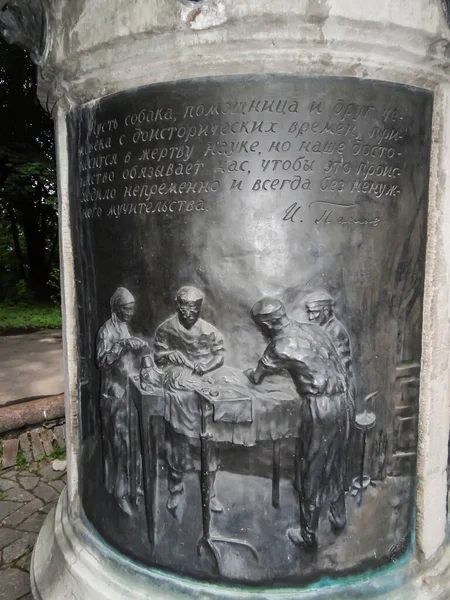 Fragment Pomnika Psa Pawłowa Terenie Instytutu Mózgu Ludzkiego Petersburga Rosja — Zdjęcie stockowe