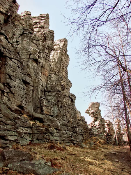 Piękny Widok Las — Zdjęcie stockowe