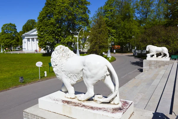 Leones Palacio Elagin San Petersburgo Russia Fecha Rodaje Junio 2017 — Foto de Stock