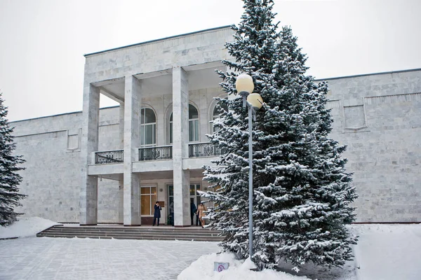 プーシコゴルスク科学文化センター プーシキン山 プスコフ地方 ロシアだ 撮影年月日2018年12月22日 — ストック写真
