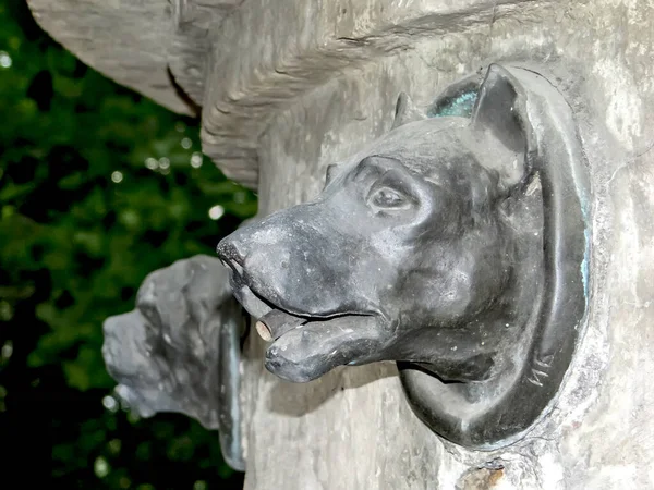 Fragment Des Denkmals Für Pawlows Hund Auf Dem Gelände Des — Stockfoto