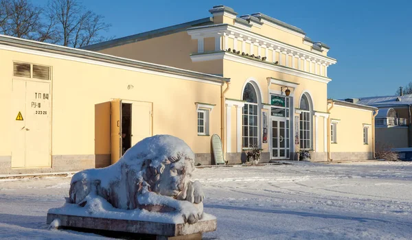 Andrianovo Russia Novembre 2018 Foto Della Pinacoteca Marino Tenuta Degli — Foto Stock