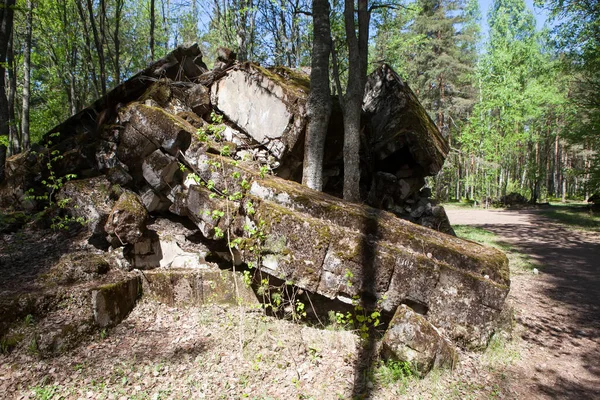 Roca Piedra Bosque — Foto de Stock