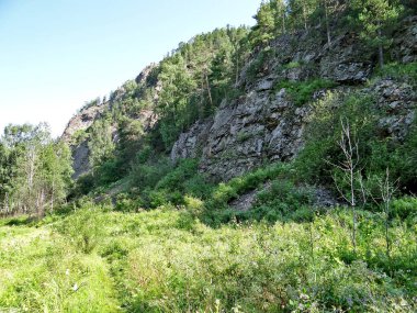Tepe manzaralı, Olenyi Ruchyi parkı, Bazhukovo, Rusya