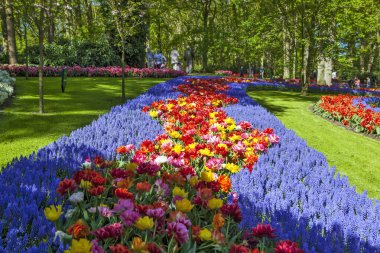 Parlak gün ışığında açan laleler ve parkta arka planda olan insanlar.