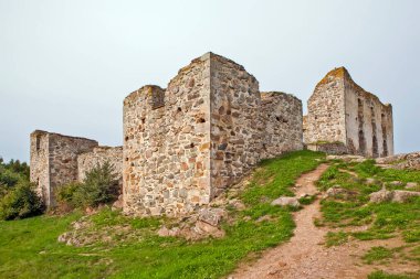 Brahehus şatosu bulutlu gökyüzünün altında yeşil çimlerle harabe, Granna, İsveç
