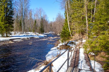 Karlı kıyılarda ağaçlarla dolu bir nehir.