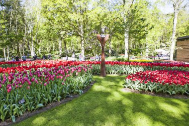 Parlak gün ışığında açan laleler ve parkta arka planda olan insanlar.
