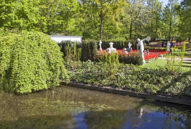 Çiçek açan kırmızı lalelerle güzel yeşil park sahnesi, Amsterdam, Hollanda