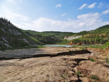 Nehir ve ormanlı güzel bir manzara.