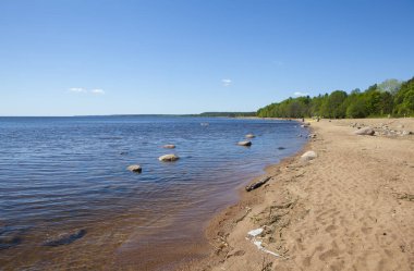 Sahildeki nehrin güzel manzarası