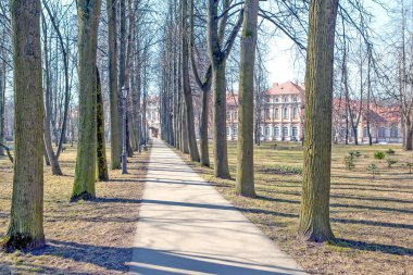 Güneş altındaki patika ve ağaçların manzarası parkı aydınlattı, St. Petersburg, Rusya