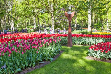 Parlak gün ışığında açan laleler ve parkta arka planda olan insanlar.