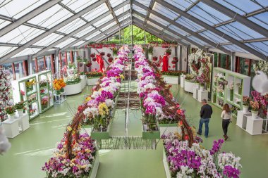 LISSE, NETHERLANDS - 4 Mayıs 2018: çiçek sergisi fotoğrafı. Beatrix Pavyonu. Keukenhof Kraliyet Parkı