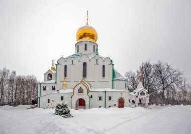 Feodorovsky Katedrali. Puşkin. St. Petersburg 'da. - Rusya. Çekim tarihi 20 Ocak 2019