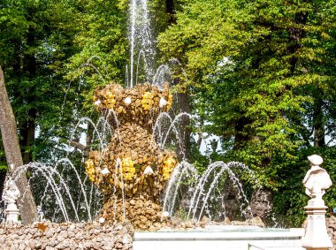 Yaz Bahçesi 'ndeki en güzel çeşme Taç' tır. St. Petersburg 'da. - Rusya. Çekim tarihi 18 Ağustos 2018