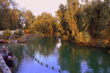 Ağaçlar ve yapraklarla dolu sonbahar manzarası