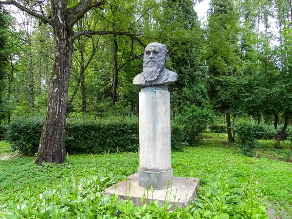 Monumento Busto Darwin Koltushi Região Leningrado Rússia Data Tiroteio Julho — Fotografia de Stock
