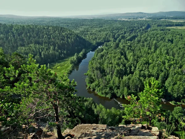 Uitzicht Rivier Het Bos Olenyi Ruchyi Park Bazhukovo Rusland — Stockfoto