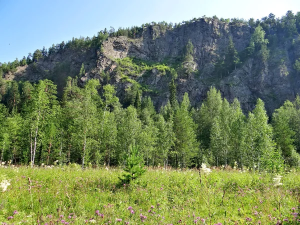 Θέα Στο Ορεινό Δάσος Olenyi Ruchyi Park Bazhukovo Ρωσία — Φωτογραφία Αρχείου