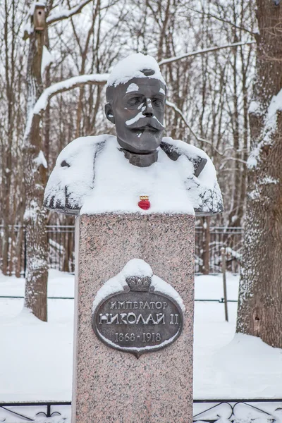 Monument Empereur Nicolas Tsarskoe Selo Pouchkine Petersbourg Russie Date Tournage — Photo