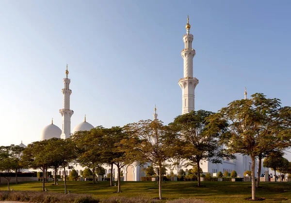 Trees Front Sheikh Zayed Mosque Abu Dhabi Uae — Stock Photo, Image