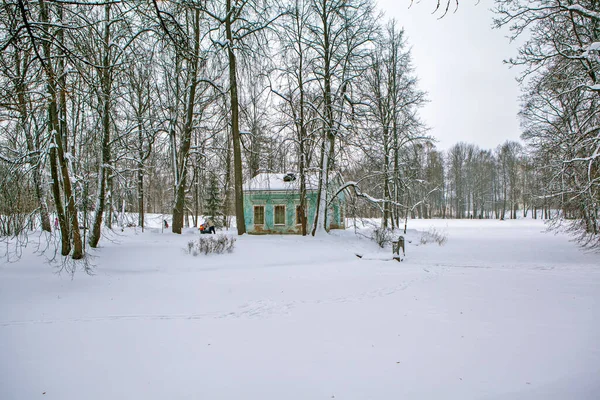 Dom Dziecka Wyspie Dla Dzieci Aleksandrze Park Carski Selo Puszkin — Zdjęcie stockowe