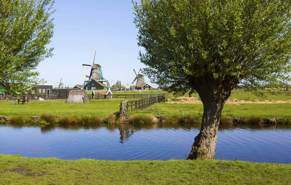 Pittoresco Villaggio Etnografico Con Parco Eolico Zaanes Schans Paesi Bassi — Foto Stock