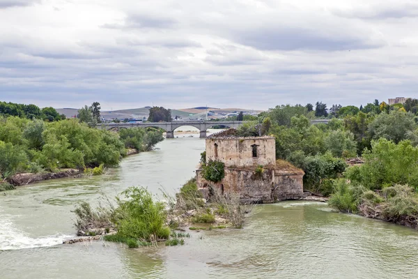 Ruined Mill Guadalquivir River Cordova Spain Date Shooting May 2013 — Stock Photo, Image