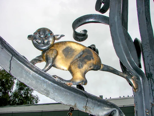 Eine Wissenschaftliche Katze Der Nähe Des Dubki Parks Sestroretsk Leningrader — Stockfoto