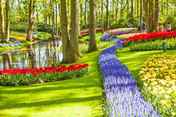 Цветущие Тюльпаны Ярком Солнечном Свете Люди Заднем Плане Парке — стоковое фото