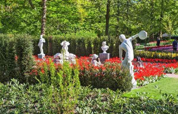 Çiçek açan kırmızı lalelerle güzel yeşil park sahnesi, Amsterdam, Hollanda
