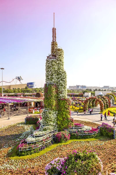 Royal Keukenhof Flower Park Cena Luz Solar Brilhante Lisse Países — Fotografia de Stock