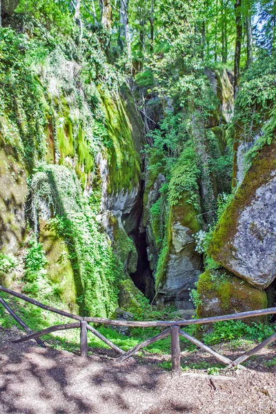 Verne Italia Mayo 2014 Foto Una Hendidura Roca Que Cubre — Foto de Stock