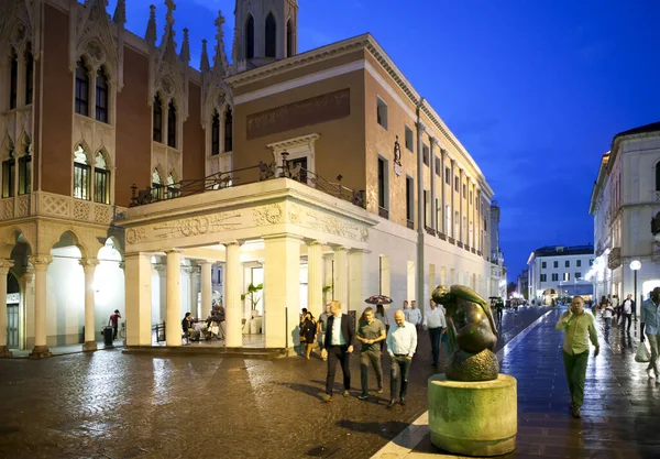 Café Pedrokki Det Padua Italien Datum För Fotografering September 2018 — Stockfoto