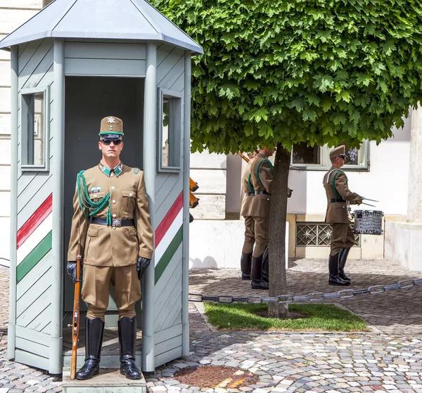 Honor Guard Sandor Palace Budapest Hungary Date Shooting April 2019 — Stock Photo, Image