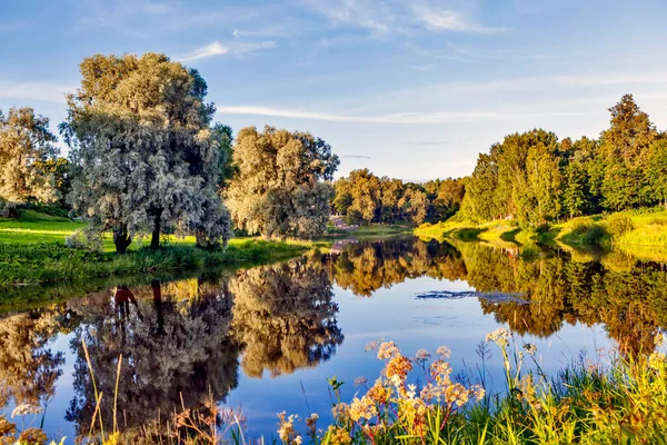 Marientalskydammen Pavlovsk Sankt Petersburg Ryssland Datum För Fotografering Juli 2015 — Stockfoto