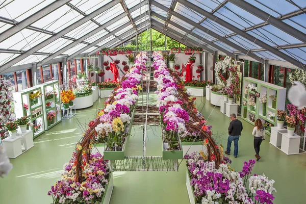 Lisse Netherlands May 2018 Photo Flowers Exposition Beatrix Pavilion Royal — Stock Photo, Image