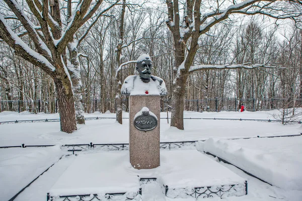 Monument Emperor Nicholas Tsarskoe Selo Pushkin Petersburg Russia Date Shooting — Stok fotoğraf