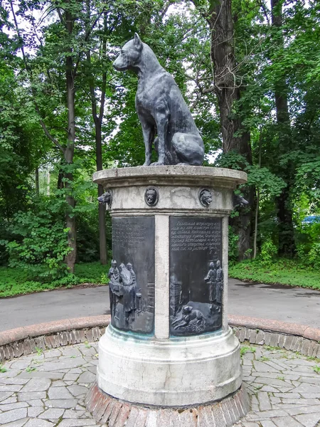 Monumento Cane Pavlov Sul Territorio Dell Istituto Del Cervello Umano — Foto Stock