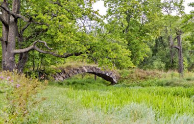 Taitsky Parkı. Halat ve kambur köprü. Taylandlılar. Leningrad bölgesi.