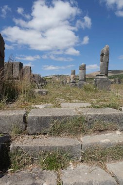 Antik şehrin kalıntıları. Volubilis. Fas. Çekim tarihi 31 Mayıs 2013
