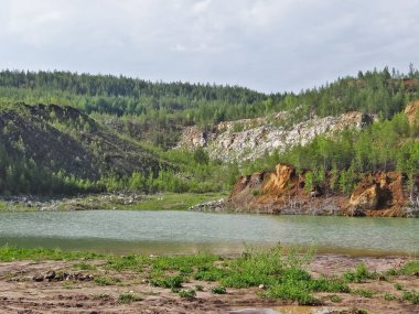 Nehir ve ormanlı güzel bir manzara.