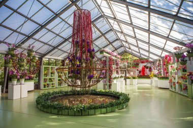 LISSE, NETHERLANDS - 4 Mayıs 2018: çiçek sergisi fotoğrafı. Beatrix Pavyonu. Keukenhof Kraliyet Parkı