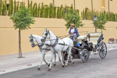 İki at tarafından çekilen şezlongdaki bir arabacı. Cordova. İspanya. Çekim tarihi 29 Mayıs 2013